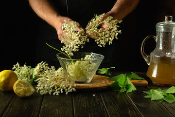 A herbalist makes kvass on the kitchen table using elder flowers and mint leaves. Making a cool and...