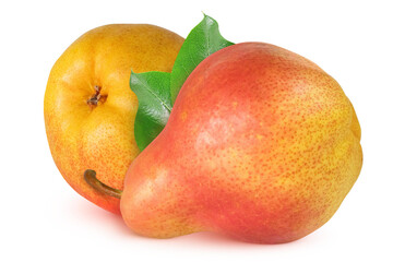 Pears on an isolated white background.
