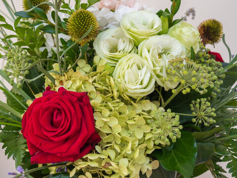Bouquet of white, red, pink and green flowers