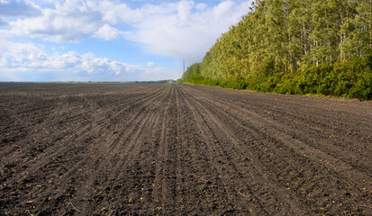 A neatly plowed field on a clear spring day. Forest edge field.