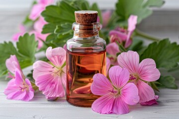 essential geranium oil in a bottle surrounded by pelargonium leaves and flowers as a concept for using natural air healing methods such as aromatherapy