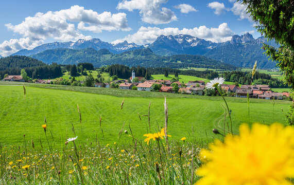 Dorf Zell Gemeinde Eisenberg im Allg&auml;u mit Blumenwiese und Alpen im Sommer