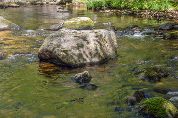 spring afternoon along  willard brook