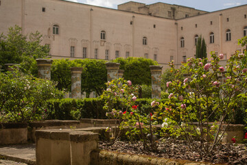 Fototapeta premium Beautiful white and rose roses in the cloister garden of Santa Chiara Monastery, Naples, Italy. Vacation in Italy, Italian churches and park