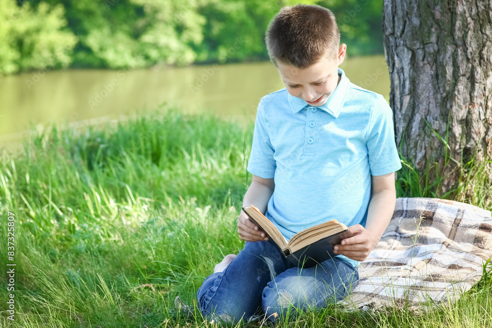 Wall mural child boy read holy bible