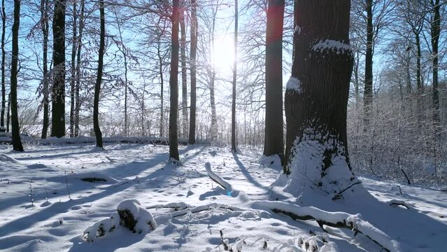 Winterwald, Winter Schnee,Winterlandschaft 