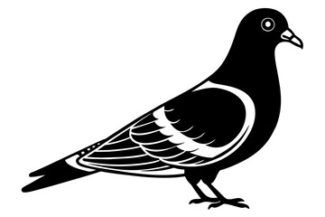 pigeon silhouette vector illustration