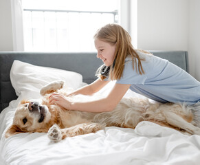 Girl Plays With Golden Retriever In Bed In The Morning In A Bright Room