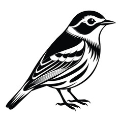 bird on a white background
