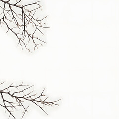 Fototapeta premium black and white background with branches