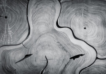 Grayscale wood pieces of natural slab edge fit together for a background design