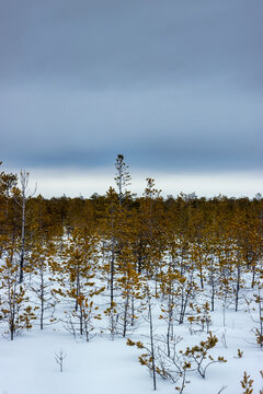 Nearby, the Samotlor oil field is the largest oil field in Russia and the 7th largest in the world.