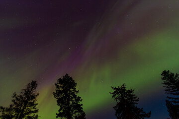 Amazing Aurora Borealis Northern Lights Seen Over Washington State, USA