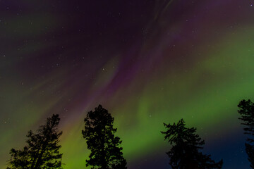 Amazing Aurora Borealis Northern Lights Seen Over Washington State, USA