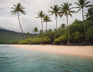 breathtaking photograph of a pristine beach, showcasing the soft, golden sand and crystal-clear turquoise waters and palm trees 