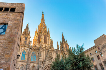 Fototapeta premium Gothic Barcelona Cathedral at the sunrise, Spain.