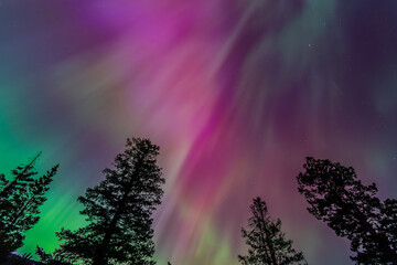 Fototapeta premium Amazing Aurora Borealis Northern Lights Seen Over Washington State, USA