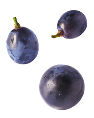 Fresh organic Blue Grape falling in the air isolated on white background. Food levitation or zero gravity conception.