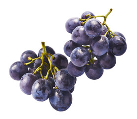 Fresh organic Blue Grape falling in the air isolated on white background. Food levitation or zero gravity conception.