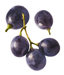 Fresh organic Blue Grape falling in the air isolated on white background. Food levitation or zero gravity conception.