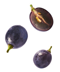 Fresh organic Blue Grape falling in the air isolated on white background. Food levitation or zero gravity conception.