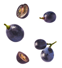 Fresh organic Blue Grape falling in the air isolated on white background. Food levitation or zero gravity conception.