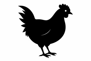 Fototapeta premium Silhouette of a rooster with detailed feathers. Black chicken in side view. Rural life, farm animal, bird illustration, livestock concept. Black silhouette isolated on white background