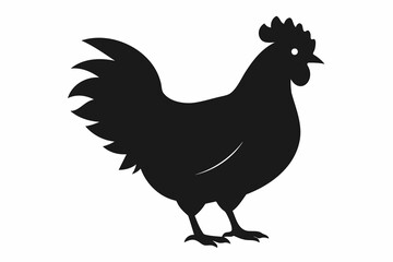 Black silhouette of a rooster standing. Isolated on white background. Rural life, farm animal, bird illustration, livestock concept. Print, sign, template, design element
