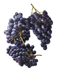 Fresh organic Blue Grape falling in the air isolated on white background. Food levitation or zero gravity conception.