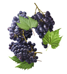 Fresh organic Blue Grape falling in the air isolated on white background. Food levitation or zero gravity conception.
