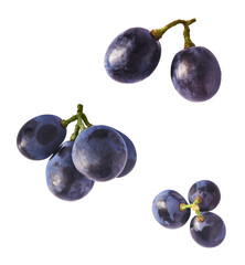 Fresh organic Blue Grape falling in the air isolated on white background. Food levitation or zero gravity conception.