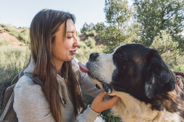 Young Woman Caressing Her Saint Bernard’s Chin in the Field. A woman strokes her Saint Bernard’s chin as he closes his eyes in the field.