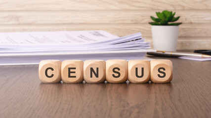 the word of census on wooden cubes