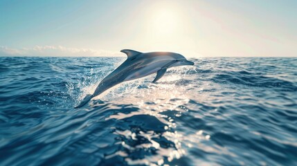 Fototapeta premium Graceful Dolphin Leaping Across Sun-Kissed Ocean Waves