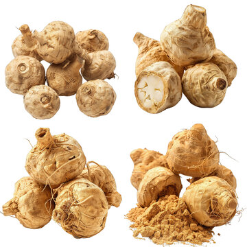 Photo of Maca herb, Asian herbs, isolated on transparent background.