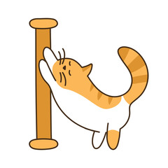 Cute striped cat sharpens its claws. Orange domestic kitten stands on its hind legs and leans on scratching post. Kawaii colored animal. Isolated children character for sticker. Vector illustration