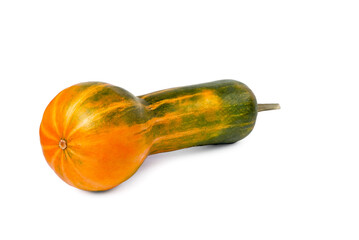 Natural juicy  pumpkin on a white background, close-up