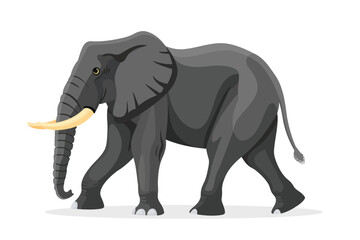 Elephant isolated vector style