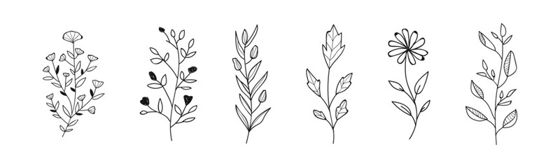 Flower doodle vector set. Sketch botanical elements. Leaves and flowers scetchy collection.