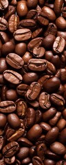 Fototapeta premium Coffee Beans - Close-up of coffee beans