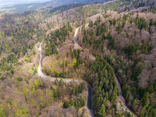 Aerial View of a road on a forest