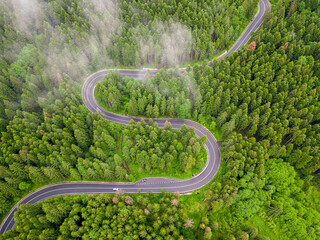 Aerial view of a road in the middle of the forest