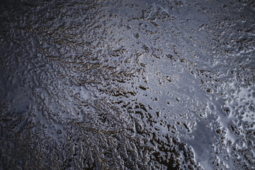 Natural formations and diverse seabed sediments with seaweed floating on the water's.