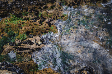 Natural formations and diverse seabed sediments revealed during an ocean tide.