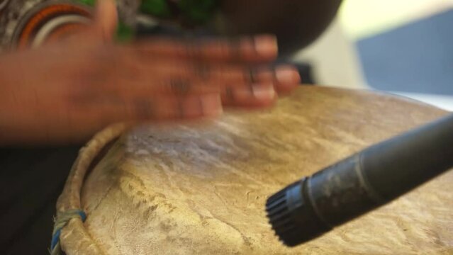 Conga del pac&iacute;fico colombiano