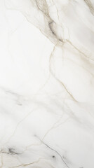 Obraz premium Wallpaper of a marble texture surface