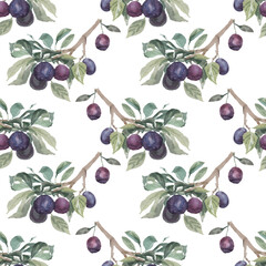 Plum on a branch with leaves hand drawn watercolor fruit garden juice juicy products vegetarianism