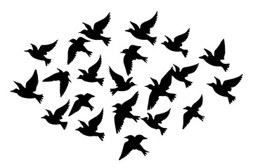 flock of birds silhouette vector illustration