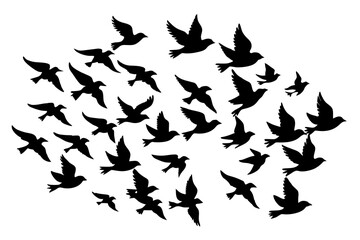 flock of birds silhouette vector illustration