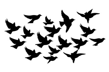 flock of birds silhouette vector illustration